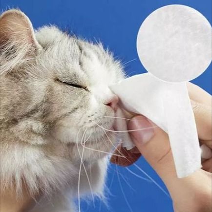 Pet Wipe Clate ： Гаджеты для ухода за гигиеной домашних животных